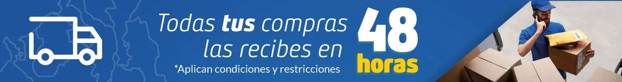 Despacho a domicilio