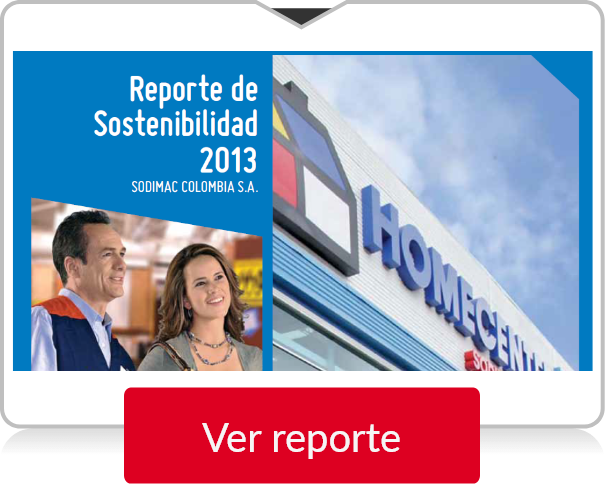 Reporte 2013