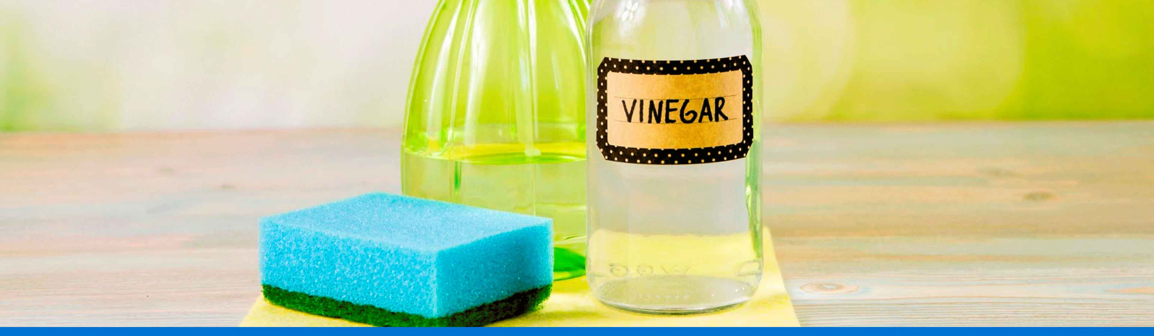 5 ideas sobre cómo limpiar la casa con vinagre