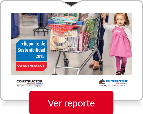 Reporte 2015