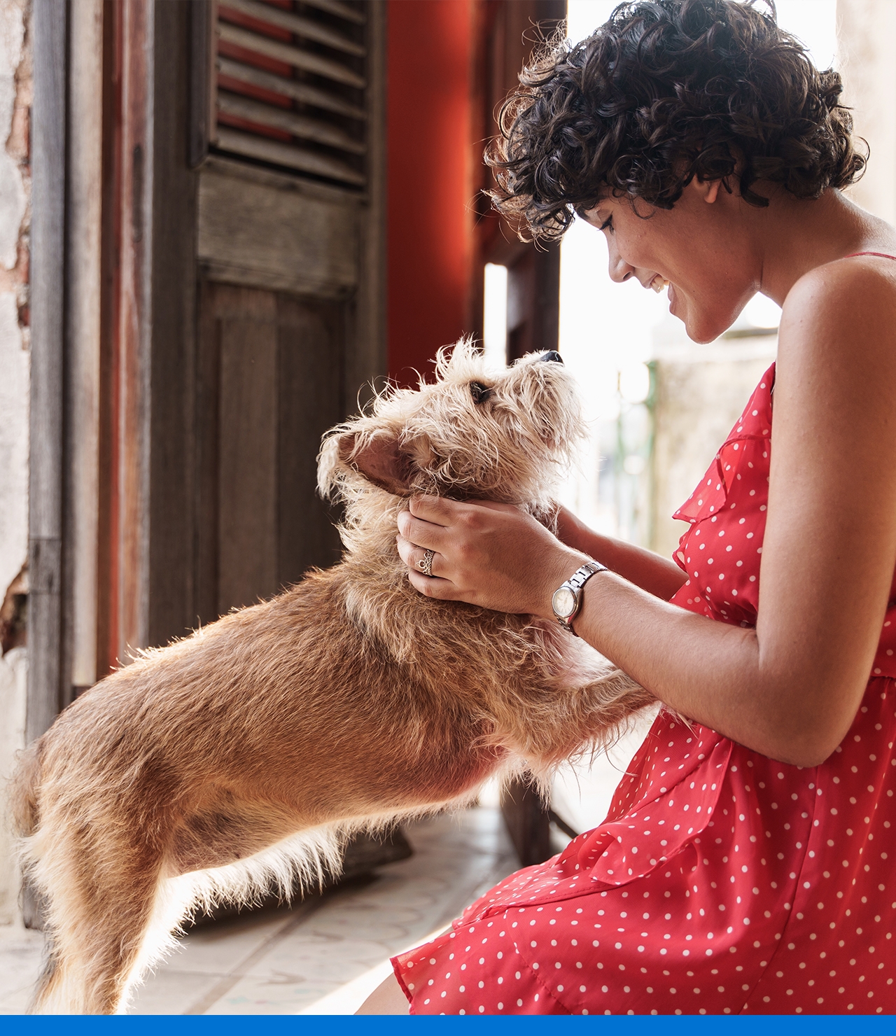 Contenedor pienso Mascotas en adopción y accesorios de mascota de