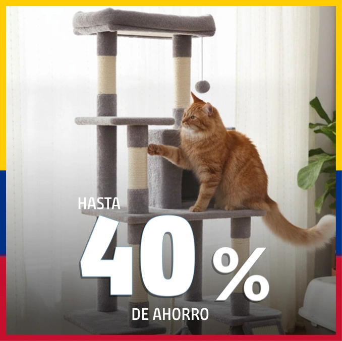Vajillas