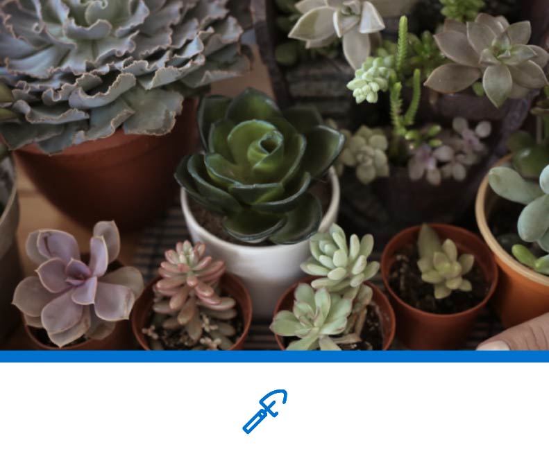 Trucos para decorar la casa