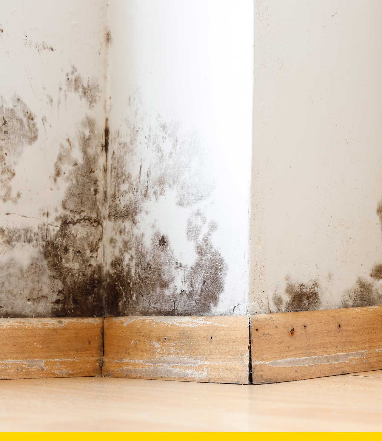 Cómo resolver los problemas de humedad en paredes y techos? – The Home  Depot Blog