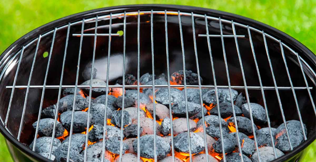 Asador a gas y carbón: mitos y verdades