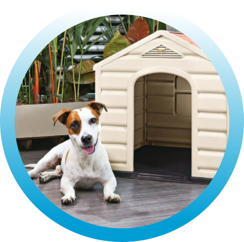 Camas y casas para perros