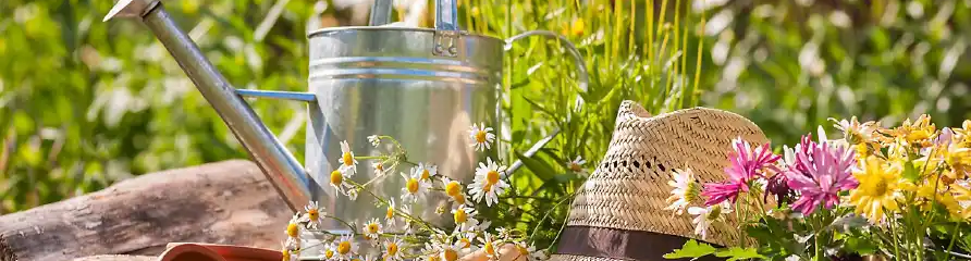 Vitrina Plantas