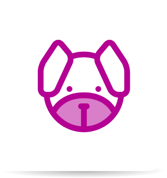 Mascotas