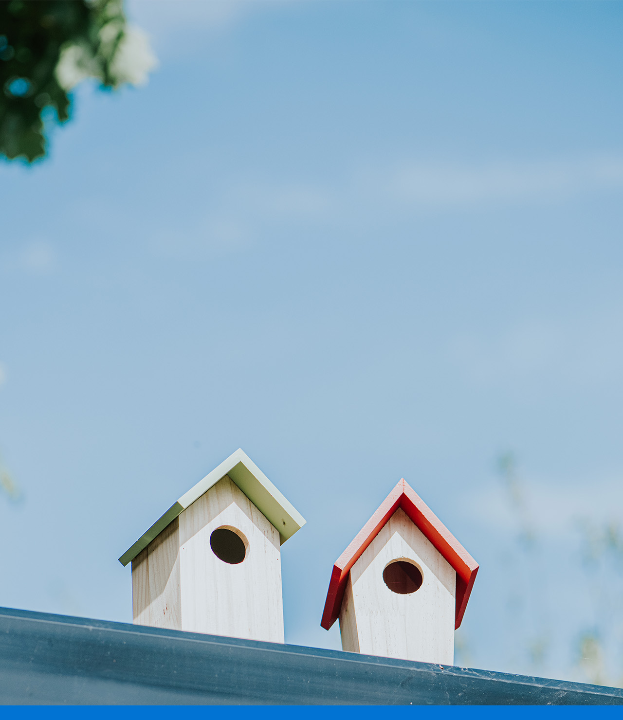 Guía para hacer casas para pájaros