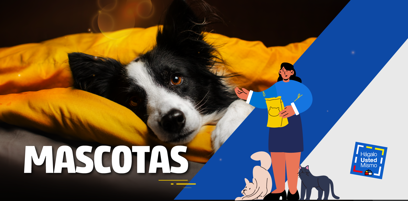 Mascotas