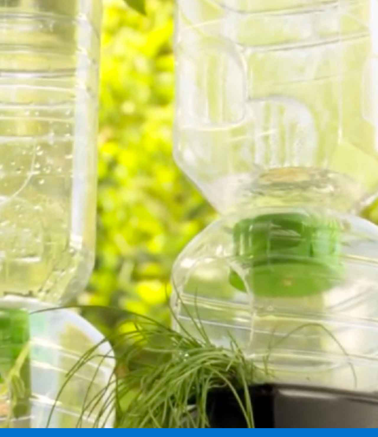 Sistema de riego con botellas plásticas