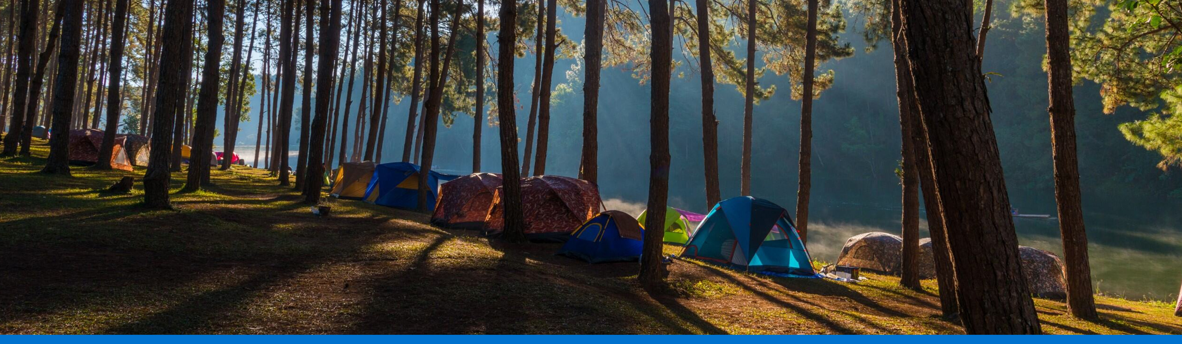 Bosque con carpas de camping