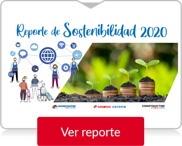 Reporte 2020