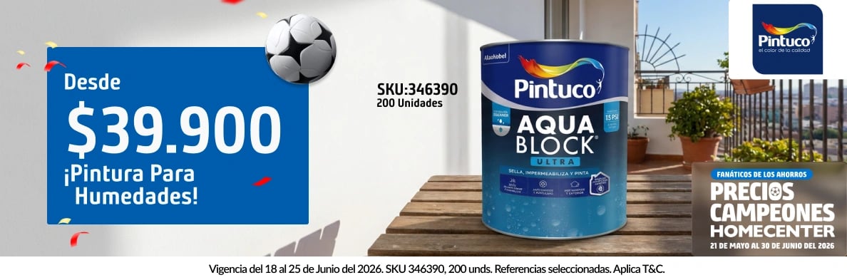 MON // Home Inf  PINTUCO