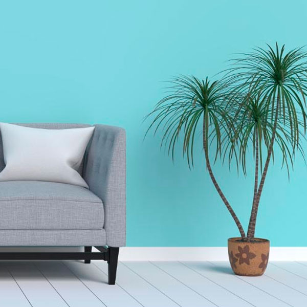 El color perfecto para tu sala