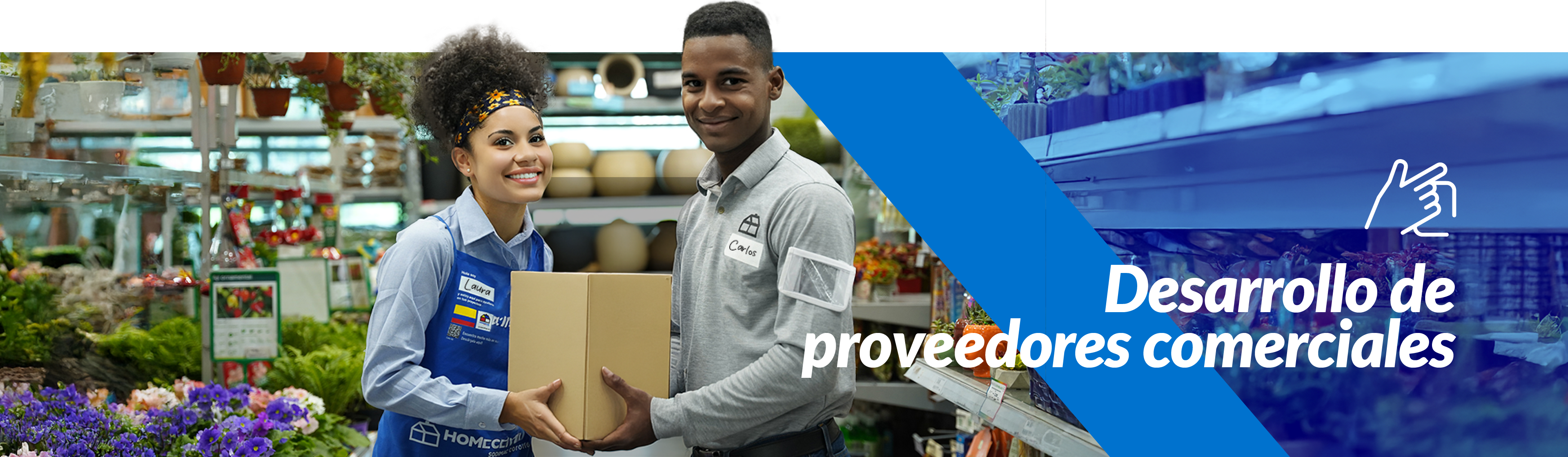 Desarrollo de proveedores comerciales