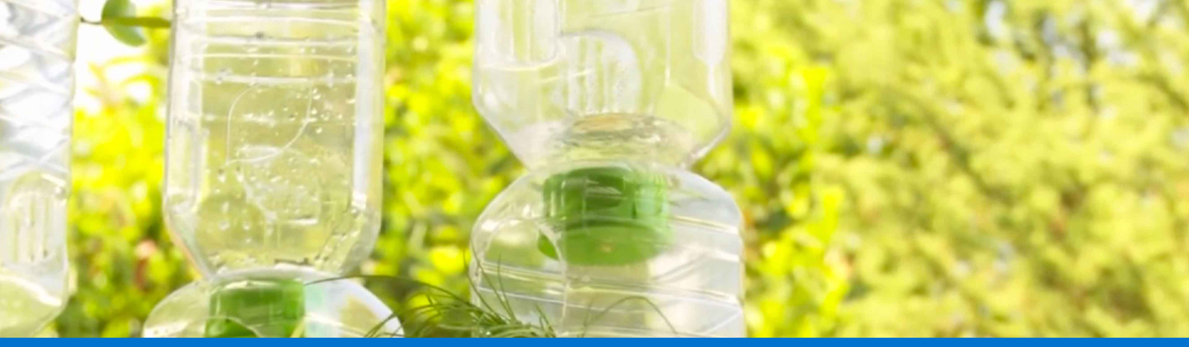 ¿Cómo hacer una huerta de riego por goteo con botellas recicladas?