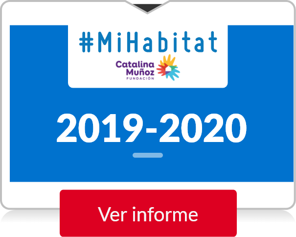 Informe 2019-2020