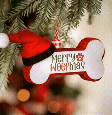 Ir a los adornos para árbol de la colección Pet Glam del especial Navidad 2025