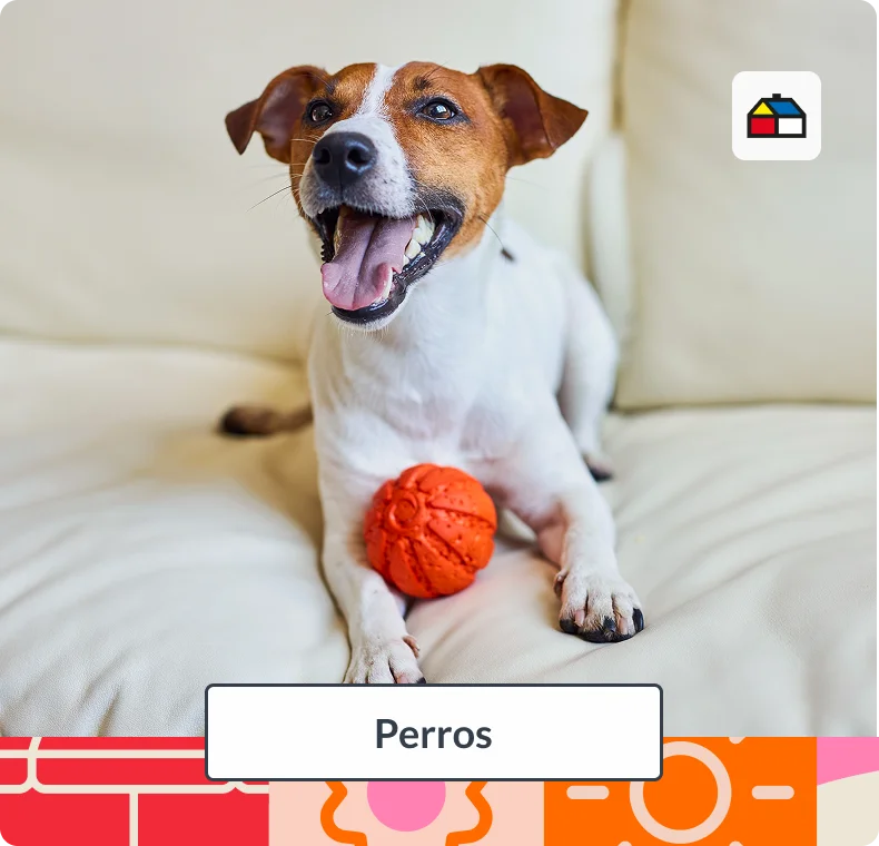 Ir a perros
del Especial Aire Libre