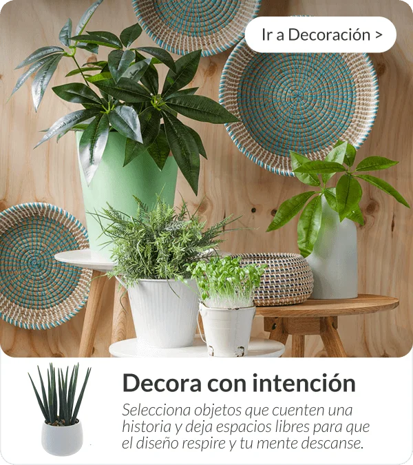 Cestas decorativas de mimbre colgadas en pared y macetas con plantas