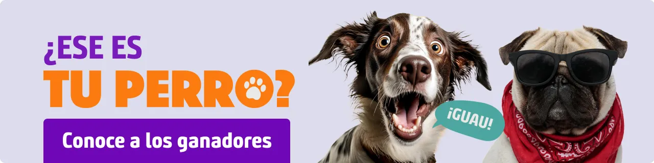 Ir a los ganadores de ¿Ese es tu perro? del Especial Aire Libre