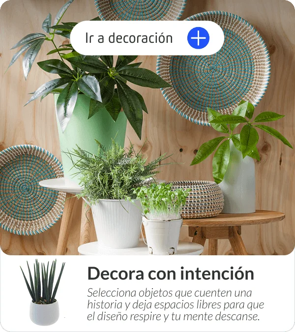 Cestas decorativas de mimbre colgadas en pared y macetas con plantas
