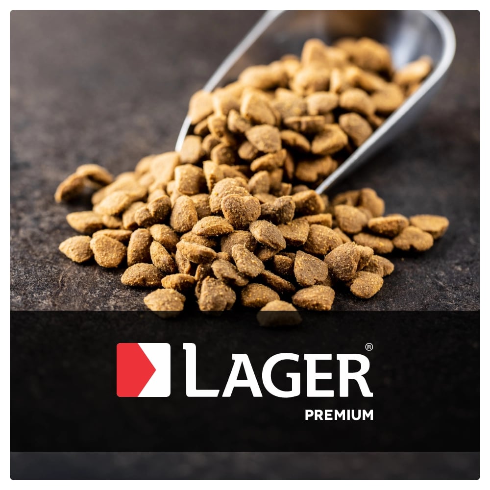 Lager